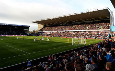 成熟且充满 成熟且充满